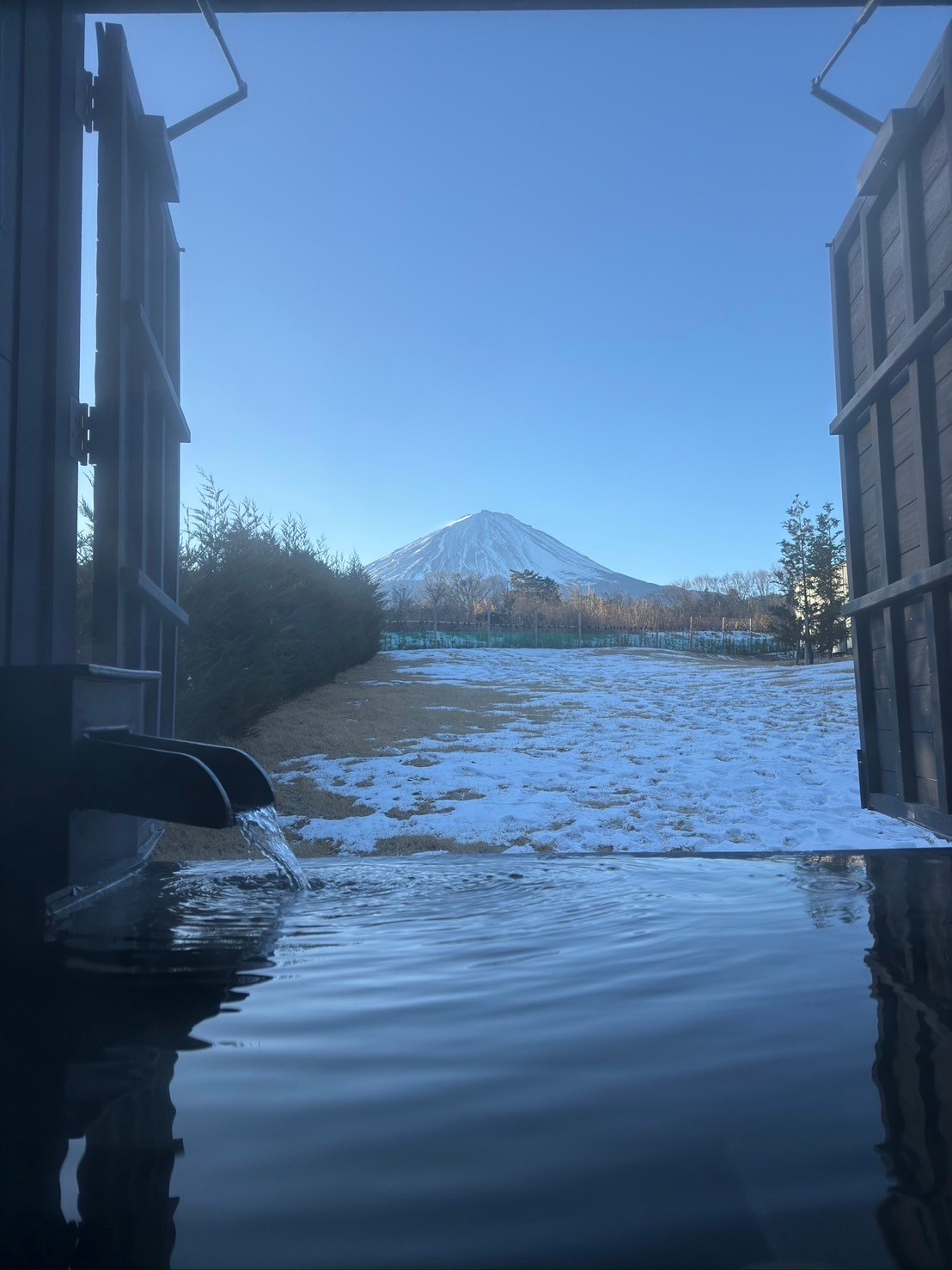 サンプル