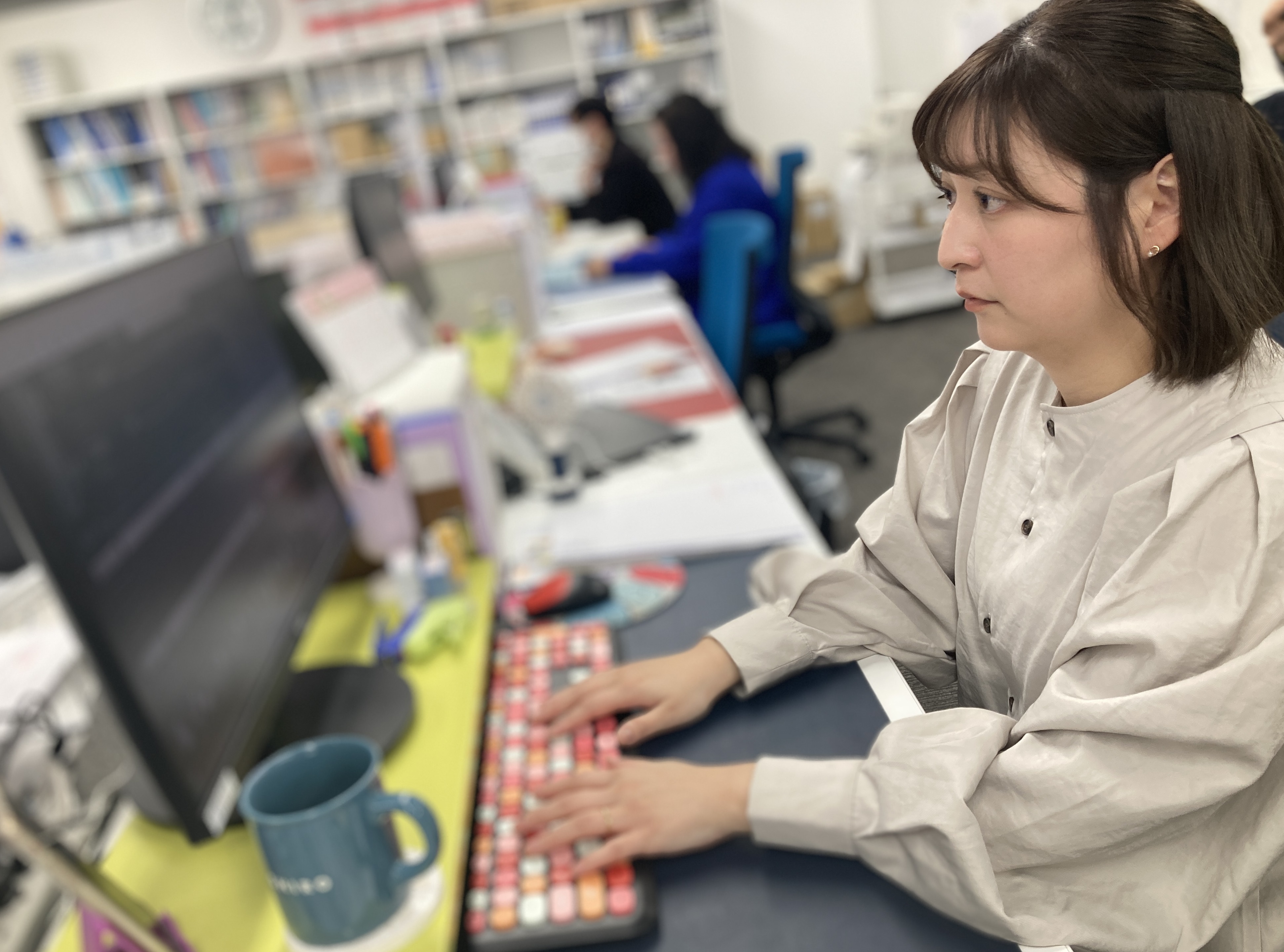 スケジュール